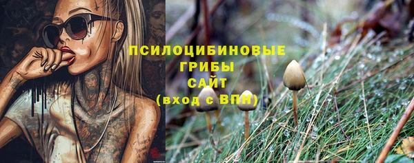 бутират Алзамай