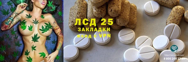 PSILOCYBIN Алексеевка