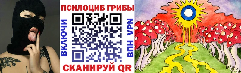где найти   Ардон  Псилоцибиновые грибы мухоморы 